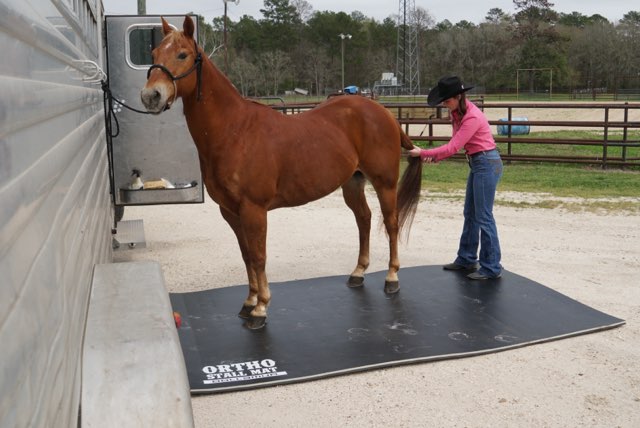 6'x9'x1" Ortho Mat